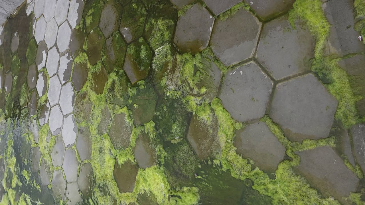 Kanalizacija poplavila bjelopoljsko šetalište Duž čitavog, tek izgrađenog bjelopoljskog šetališta, na više mjesta iz cijevi izbija kanalizacija koja se direktno uliva u Lim, šireći nesnosan smrad. Prema saznanjima „Plus portala“, kroz šetalište je sprovedena glavna cijev čija je funkcija da prikupi otpadne vode iz svih ulica iznad šetališta. Pretpostavlja se da u pumpama zastaje razni otpad, poput vlažnih maramica koje se ne razgrađuju i tako začepe kanalizacione cijevi. Ono što je trebalo predvidjeti jeste ugradnja noževa na pumpe koji bi sjekli čvrsti otpad. I radnici na terenu potvrđuju ono što smo i sami vidjeli. „Ovo se do sada nije dešavalo. Pretpostavljamo da se problem pojavio zbog loše urađene infrastrukture. I ja se pitam kako je moguće da se na projektu vrijednom toliko novca previdi osnovna funkcionalnost kanalizacione mreže“, kaže jedan od radnika iz Vodovoda „Bistrica“. Na naše pitanje kako se može riješiti problem, odgovorio je: „To neka riješi onaj ko je radio ovaj projekat. Ja sam tu samo da radim ono što mi nadležni kažu.“