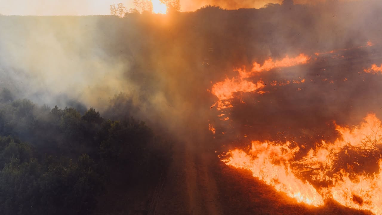 Crnogorsko nebo pod opsadom: Iz vazduha sručeno 125 tona vode, požari gore od Kuča do Pivskih planina Vatrena linija se proteže od Kuča do Pivskih planina, a crnogorsko nebo juče je ličilo na poligon za gašenje industrijskih razmjera — dok nadležni zbrajaju opožarene kilometre, iz vazduha je na žarišta ispušteno ukupno 125 tona vode. Ministarstvo unutrašnjih poslova jutros je potvrdilo ono što stanovnici širom zemlje već danima vide kroz dimnu zjesu: požari gore na sve strane, a situacija je najalarmantnija na sjeveru i u centralnom regionu. Gdje sve gori? • Nikšić i okolina (Epicentar krize): Plamti na sve strane — od Golije, Vojnika i Prage, preko Ježevog Brda i Gradačke Poljane, do Banjana (Klenak i Vraćenovići). Lokalna Služba zaštite i spašavanja u pomoć je zvala avijaciju za čak devet novih tačaka, uključujući Bogetiće, Milojeviće i Broćanac. • Podgorica: Vatrogasci drže na oku Kržanju i Stravičnu u Kučima. • Cetinje: Pod lupom su Bijele Poljane i Lastva. • Kolašin i sjever: Dim kulja sa Crnog Vrha i Maganika, u Plužinama gore Barni do i Lisina, u Šavniku ponovo udara Vojnik i Kruševice, dok se u Pljevljima osim Pandurice muče i sa požarom na deponiji. Kako izgleda rat iz vazduha? Jučerašnji bilans letačkih posada MUP-a i Vojske Crne Gore pokazuje • MUP-ov gigant Antonov: Letio je dva sata i 30 minuta i istovario 16 tona vode. • MUP-ovi Air Traktori: Odradili su 14 letova i bacili 42 tone vode. • Helikopteri Vojske Crne Gore: U šest preciznih naleta izbacili su čak 67 tona vode. Sudeći po spisku opožarenih opština, pred vatrogascima je još jedna duga i vrela runda borbe s elementarnom nepogodom.